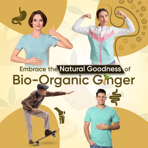 Organic Ginger Capsules