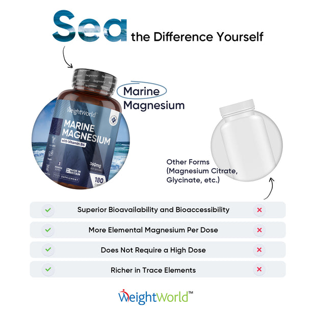 Marine Magnesium + Vitamin B6 Capsules