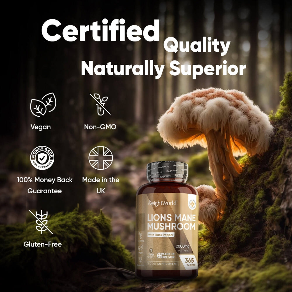Lions-mane-mushroom-extract-uk-03.jpg