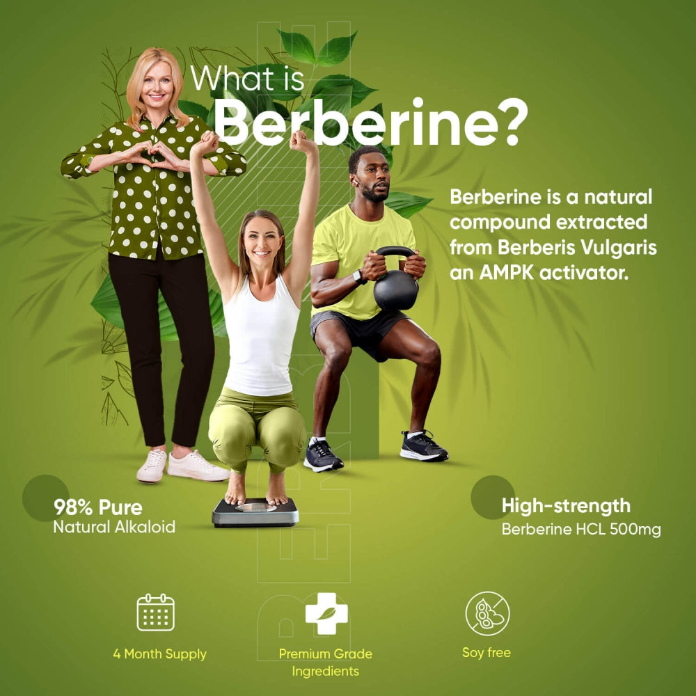 berberine-uk-02.jpg