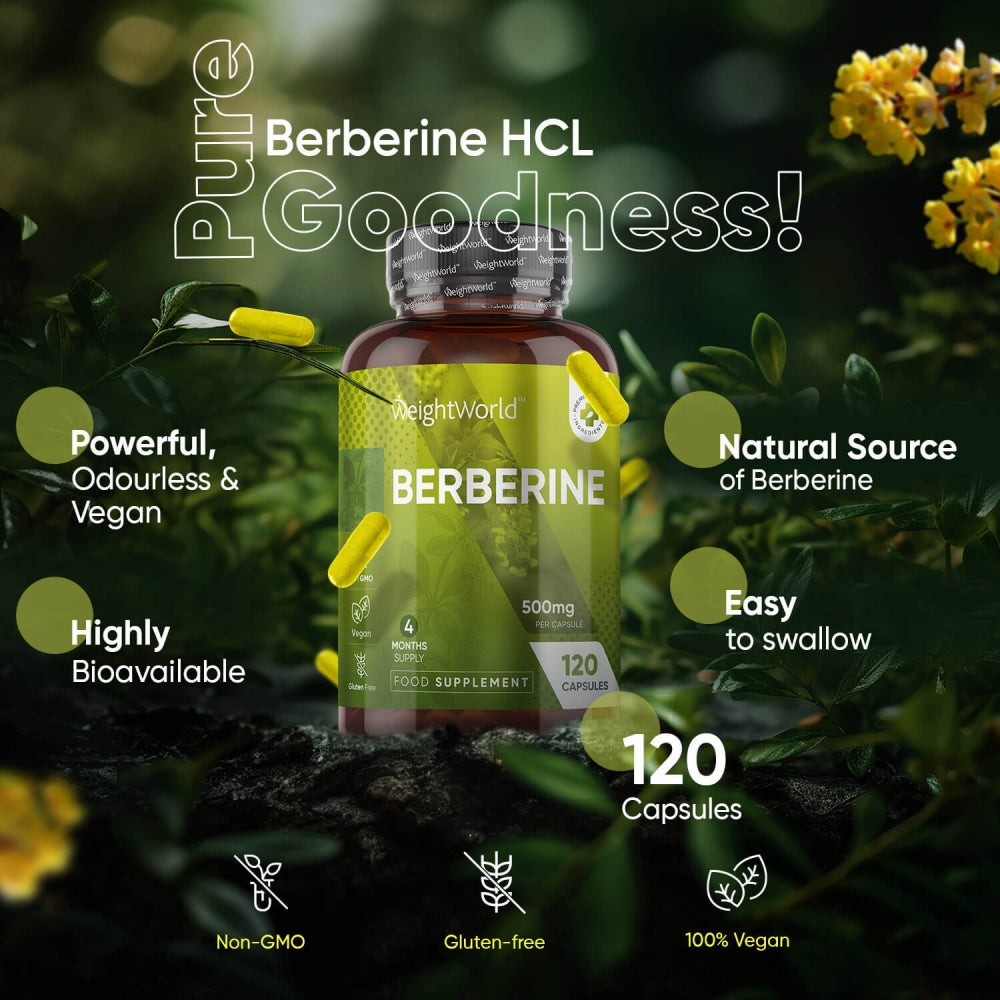 berberine-uk-03.jpg