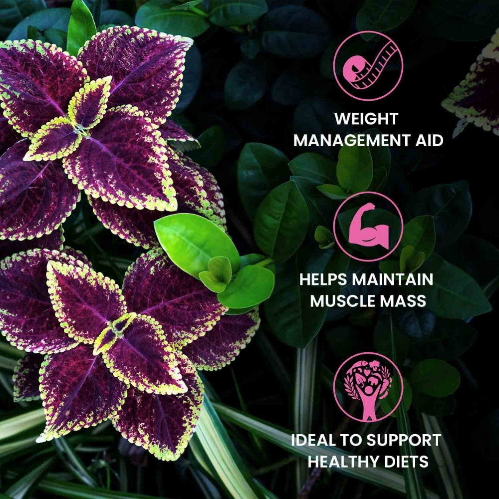 forskolin-caps-5-uk.jpg
