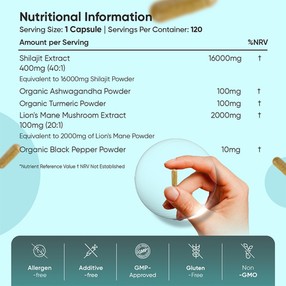 Shilajit Complex Capsules