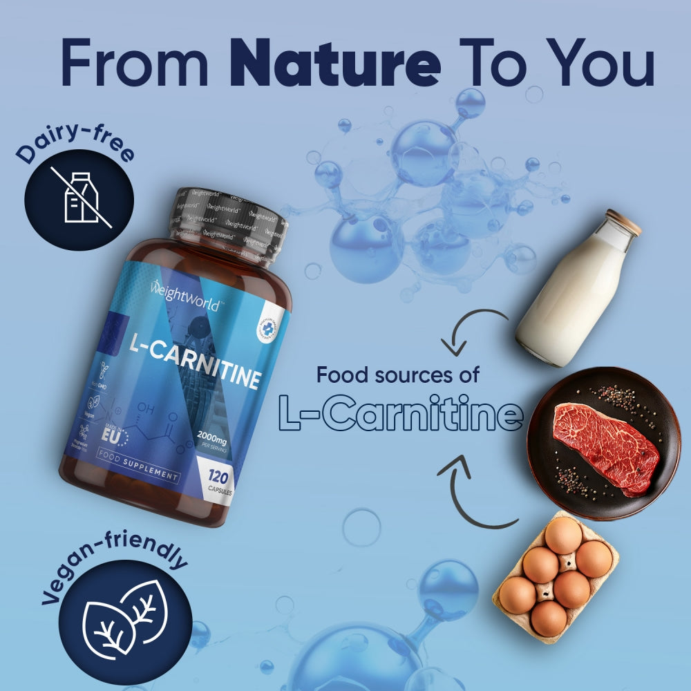 l-carnitine-120-caps-uk-2.jpg