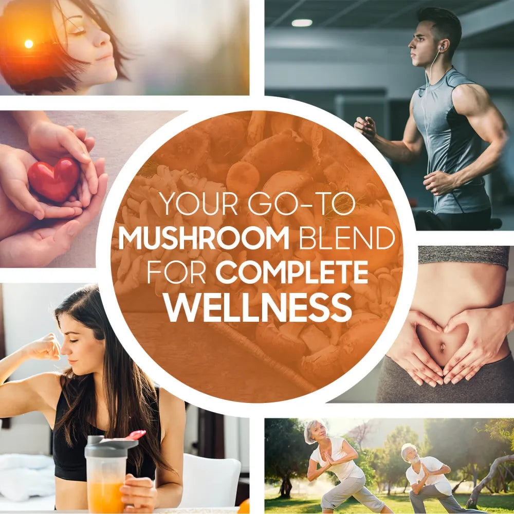 organic-mushroom-uk-4.webp