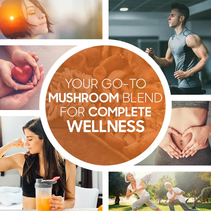 organic-mushroom-uk-4.webp