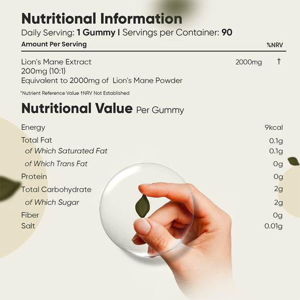 Lion's Mane Mushroom Gummies