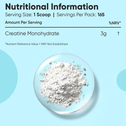 weightworld-ie-creatine-monohydrate-powder-500gm-supplement-pouch-06.webp