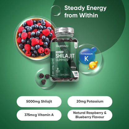 weightworld-ie-shilajit-gummies-bottle-02.webp