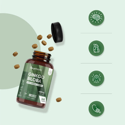 ww-ie-ginkgo-biloba-complex-4.webp