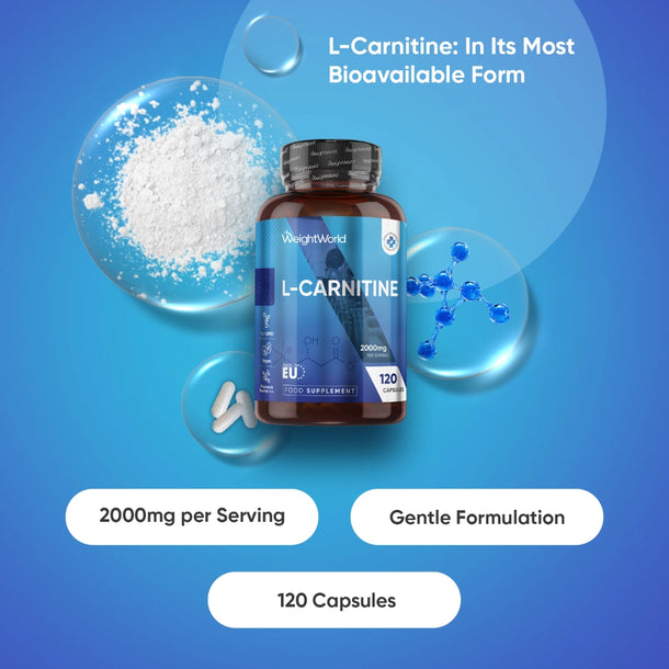 L-Carnitine Capsules | 2000mg 120 Capsules