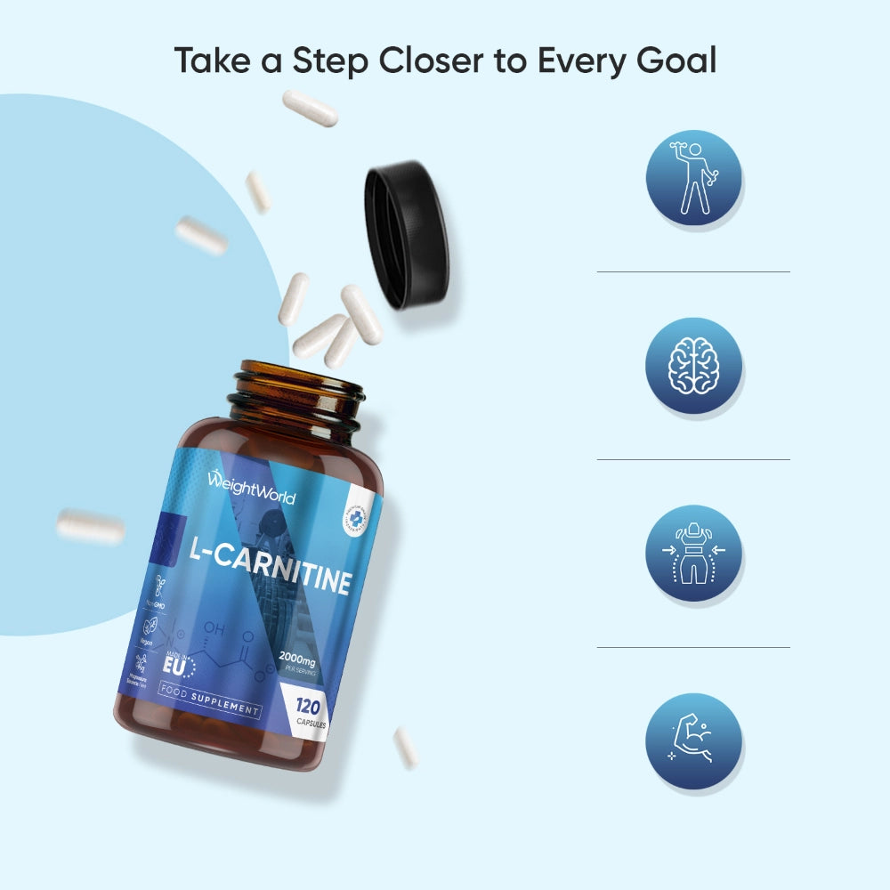 2000mg l carnitine a day Fast&Up L-Carnitine Effervescent Tablets  Slim Planet L-Carnitine 2000mg,