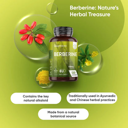 ww-ie-mind-body-balance-trio-3.webp